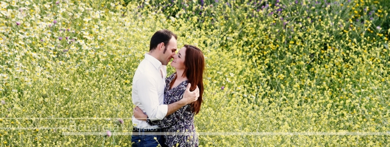 PREBODA entre jaramagos y margaritas